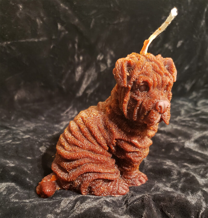 Shar Pei