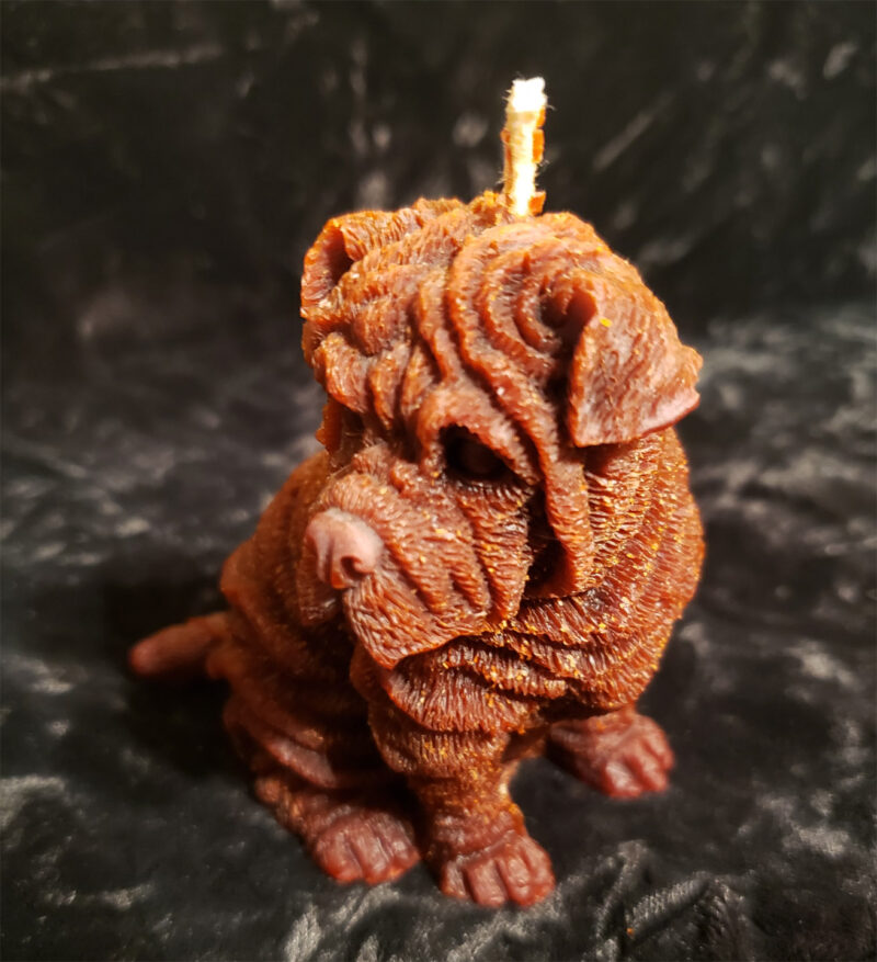 Shar Pei - Image 3