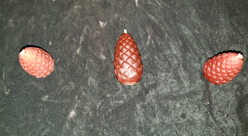 Pine cone - Image 2